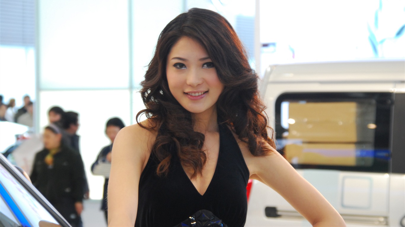 2010 Beijing International Auto Show (2) (z321x123 works) #29 - 1366x768