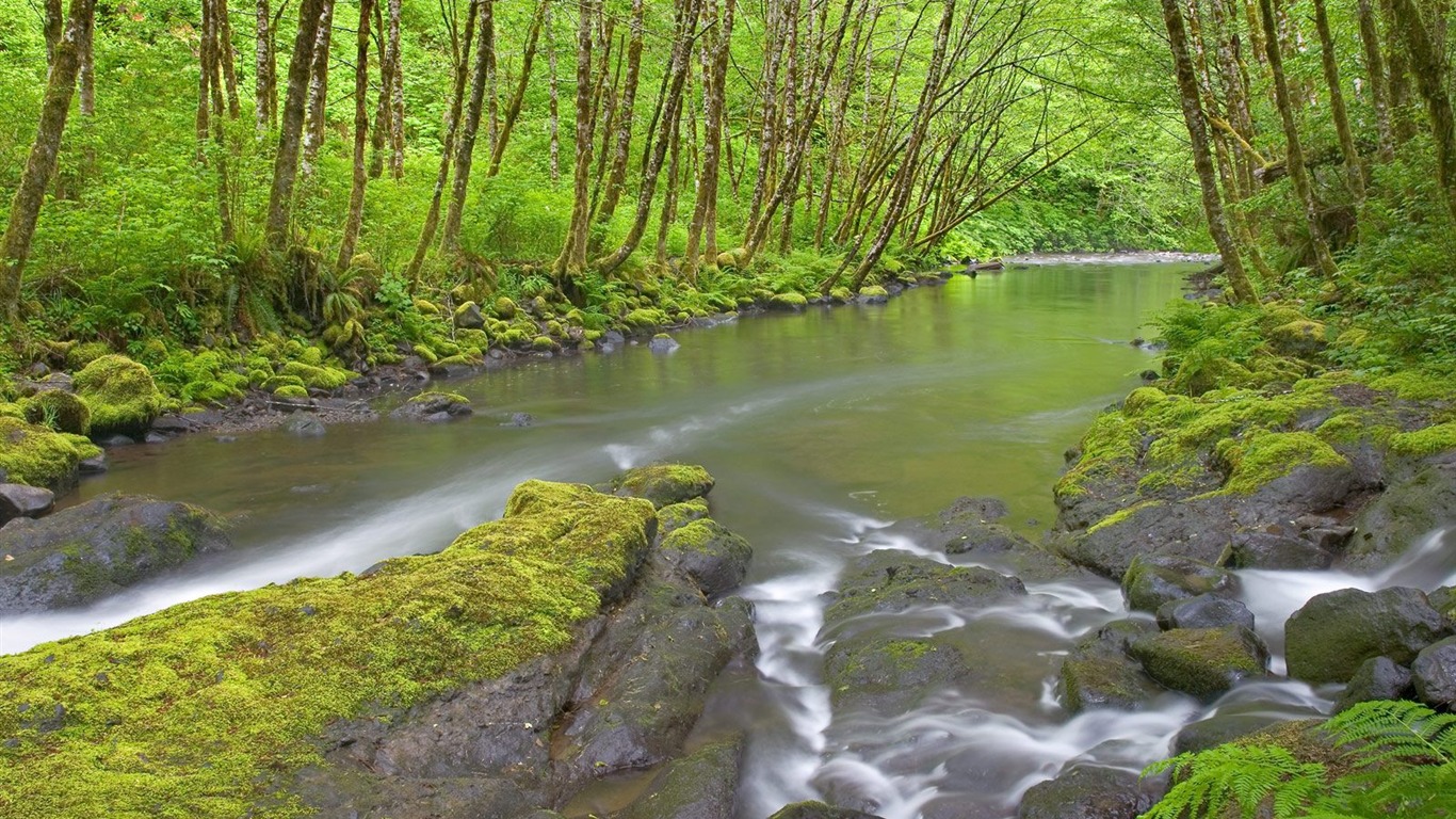 Webshots風光壁紙(17) #11 - 1366x768