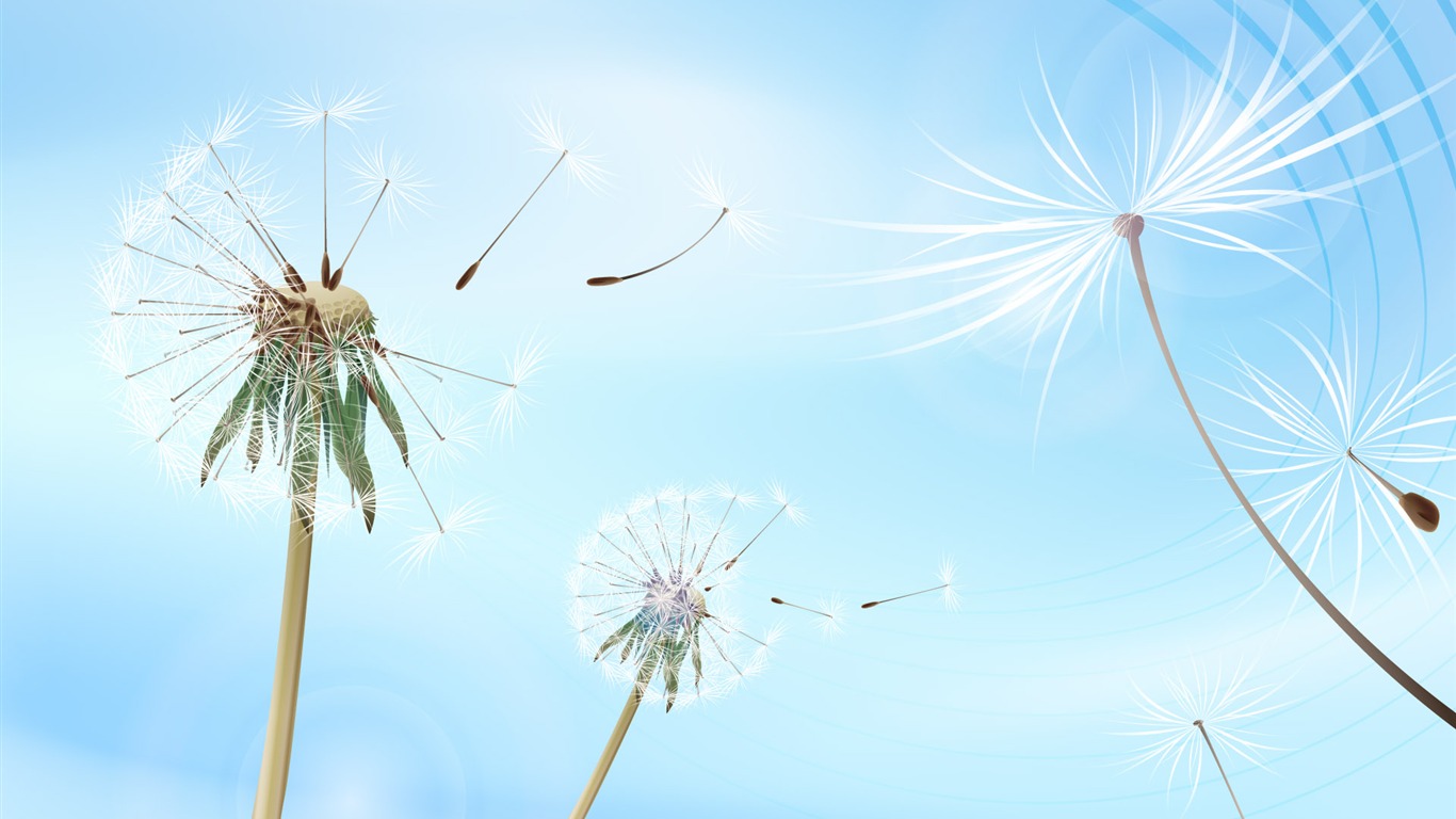 炫彩花紋 壁紙(九) #10 - 1366x768