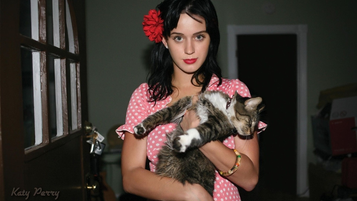 Katy Perry krásnou tapetu #1 - 1366x768