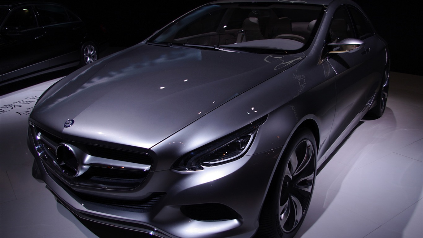 2010 Peking Mezinárodní Auto Show (Sunshine Beach práce) #16 - 1366x768