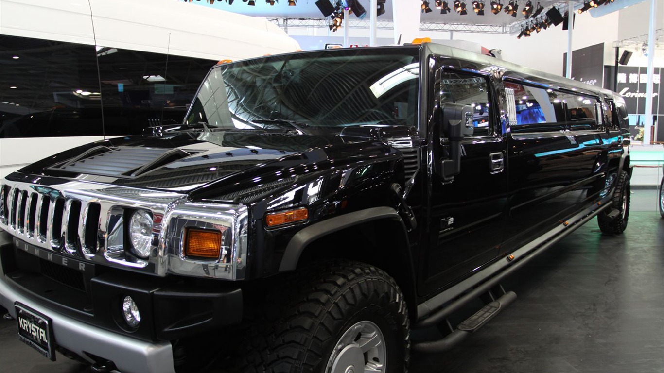 2010 Peking autosalonu (2) (vepřové navštívit Peking práce) #14 - 1366x768