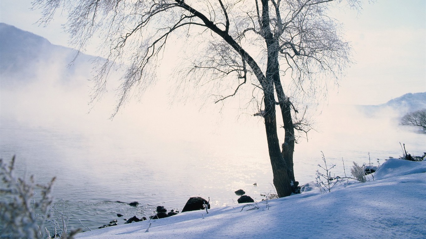 冬天雪景壁紙 #1 - 1366x768