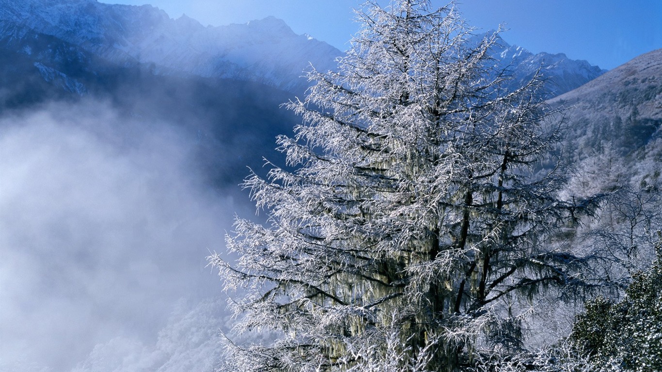 Zimní sníh tapety #3 - 1366x768