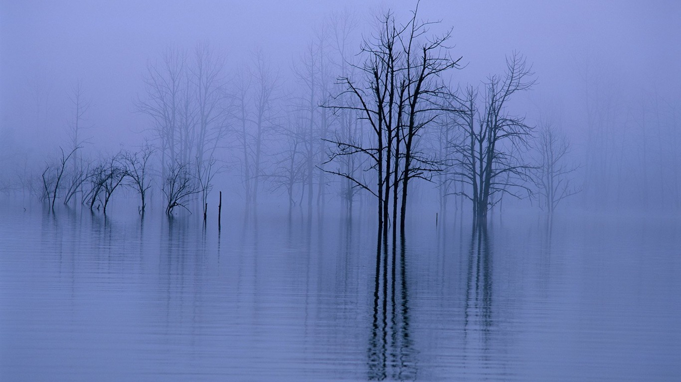 Zimní sníh tapety #4 - 1366x768