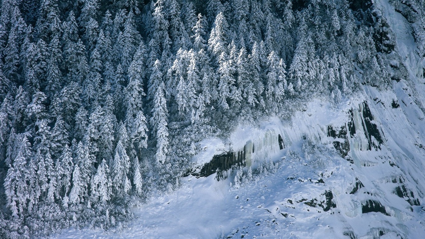 冬天雪景壁紙 #5 - 1366x768