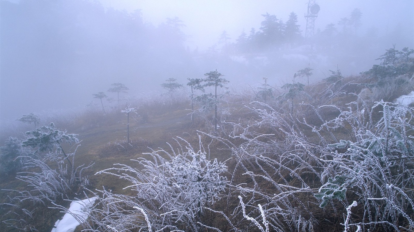 冬天雪景壁紙 #7 - 1366x768