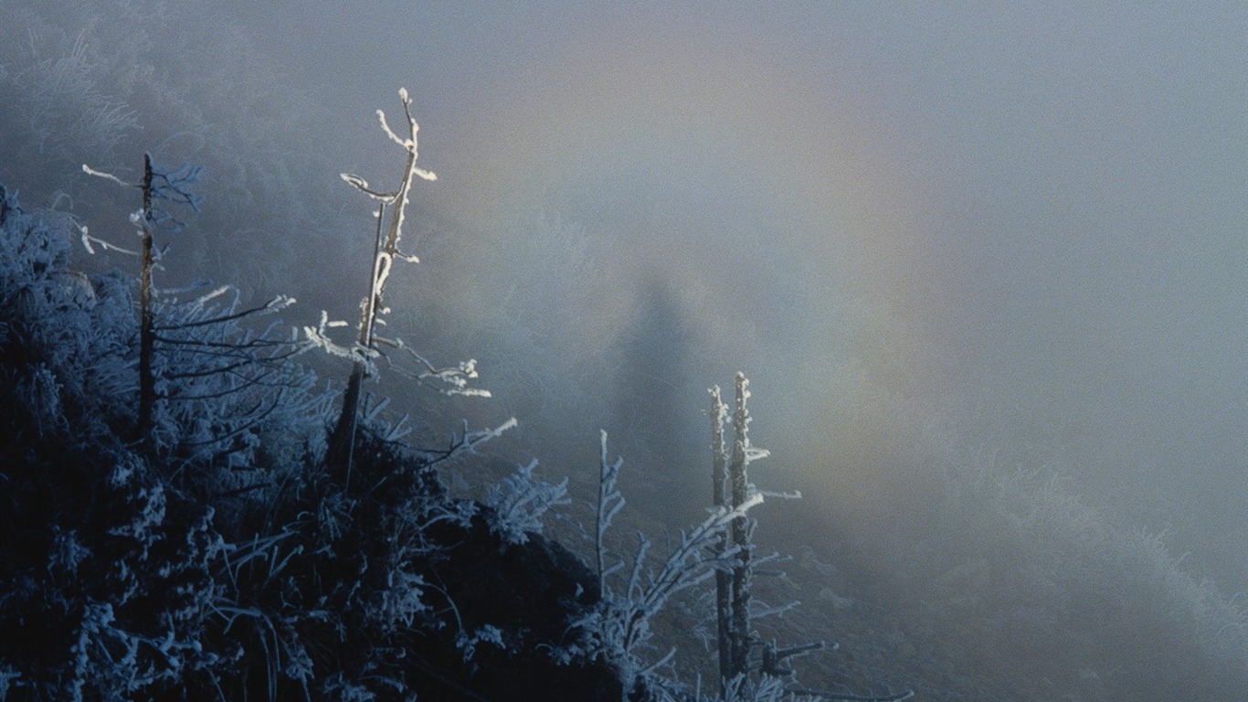 Winter Snow wallpaper #14 - 1366x768