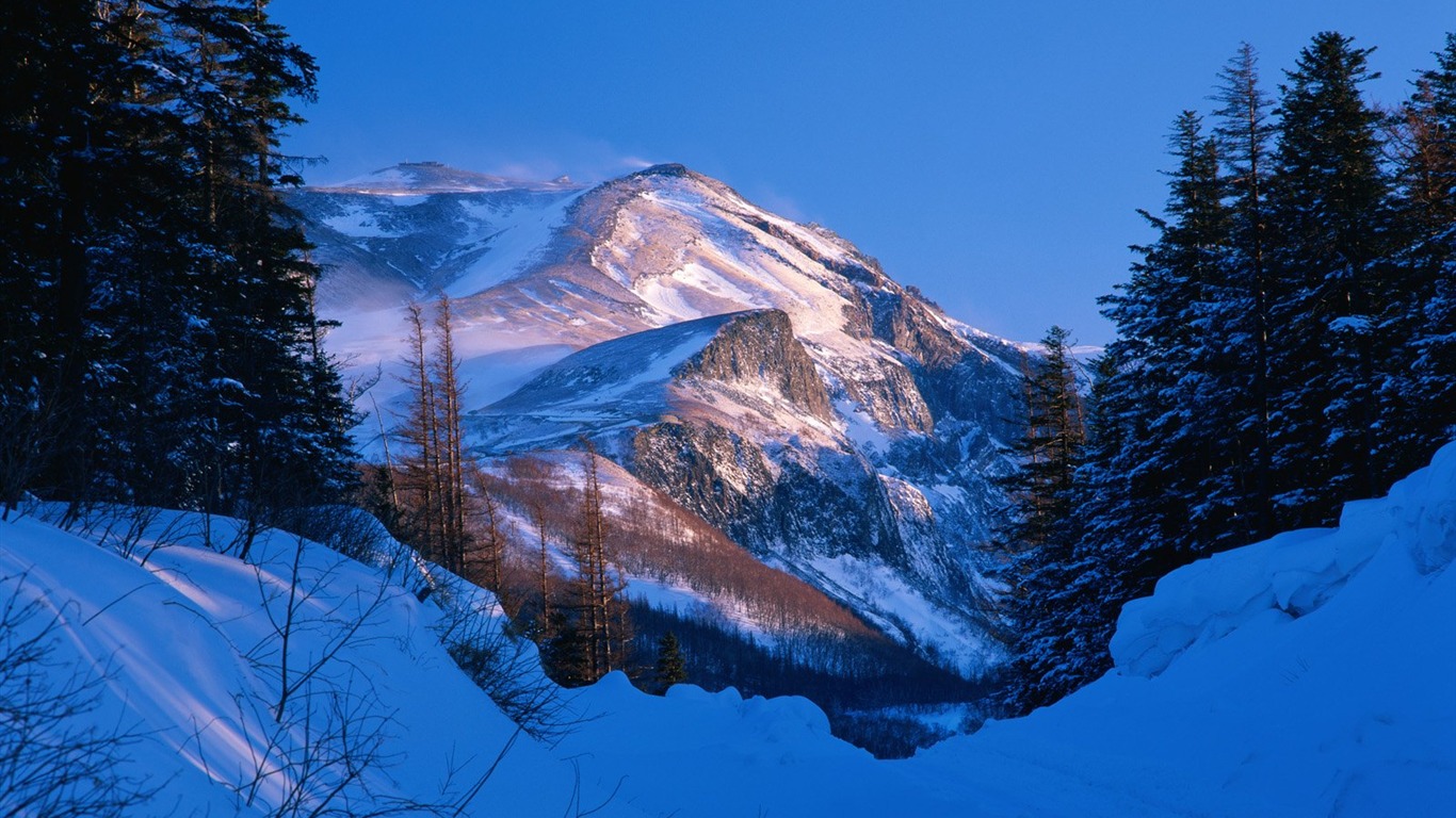 Zimní sníh tapety #16 - 1366x768
