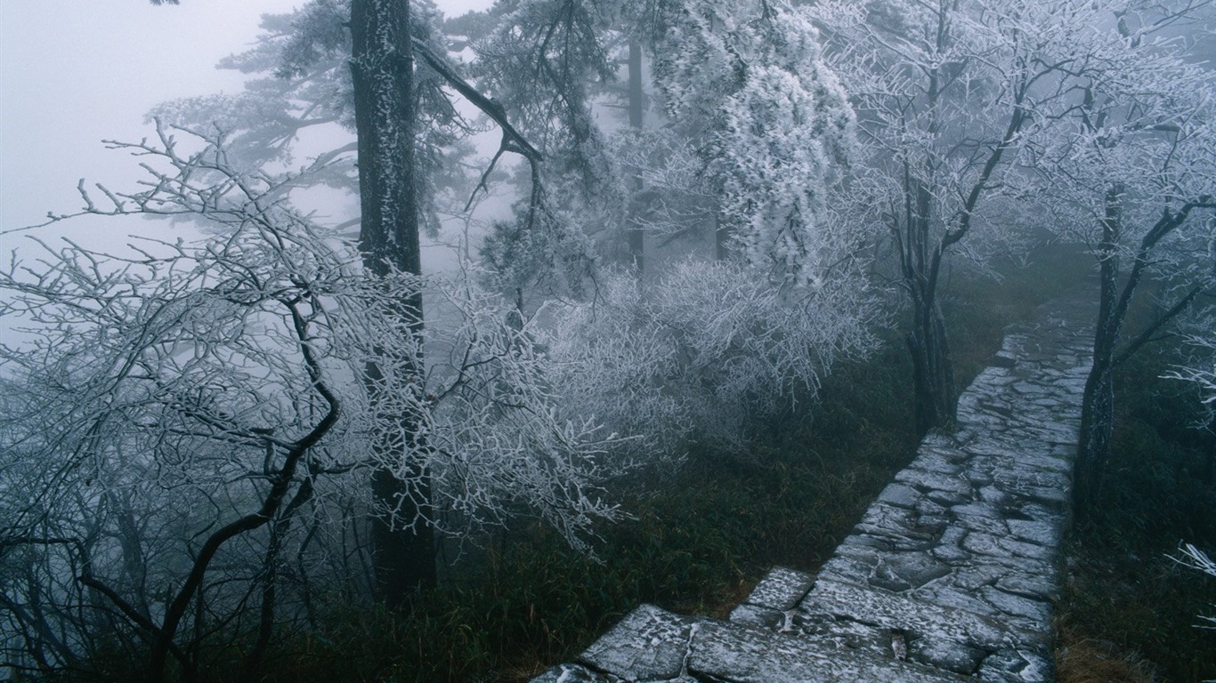Zimní sníh tapety #17 - 1366x768