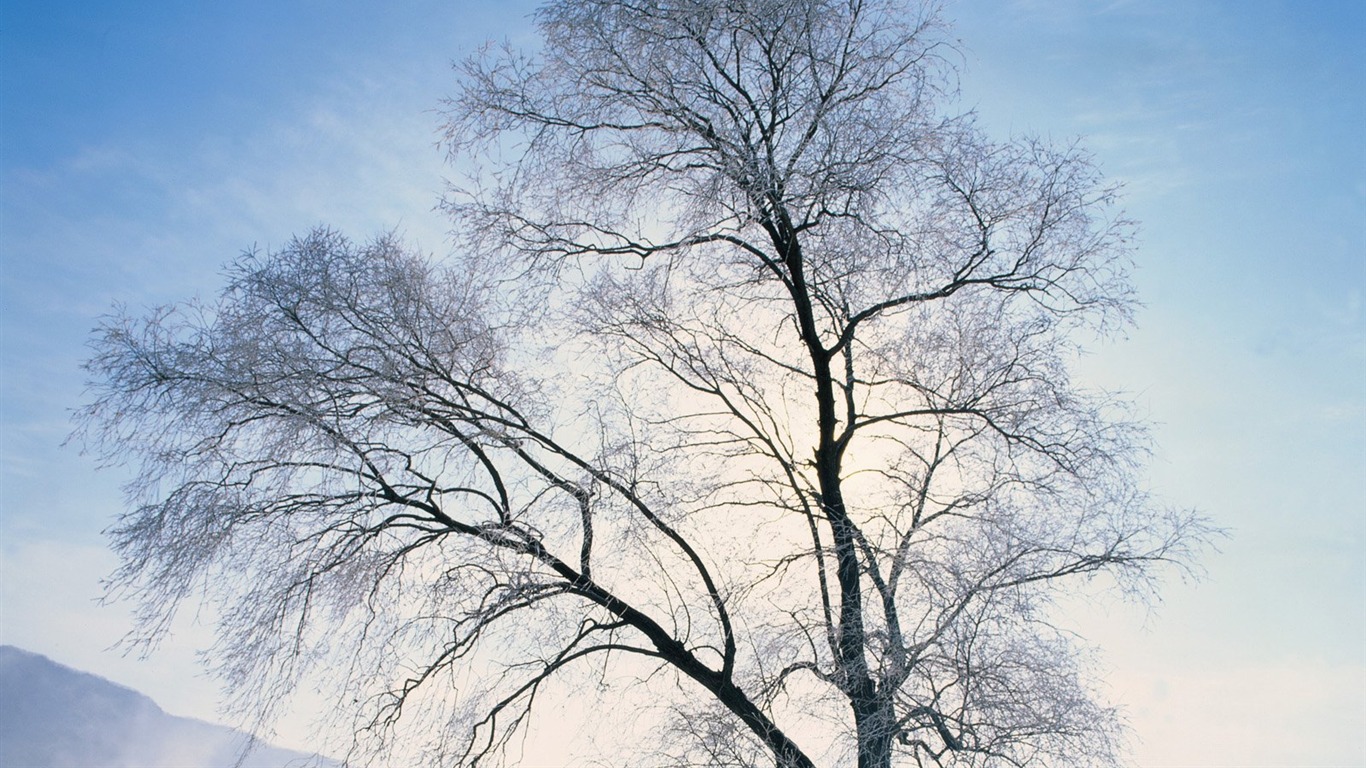 冬天雪景壁紙 #24 - 1366x768