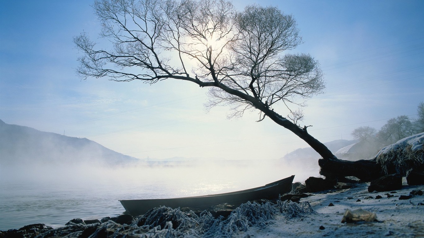 冬天雪景壁紙 #25 - 1366x768