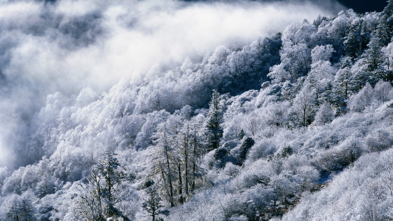 冬天雪景壁紙 #28 - 1366x768