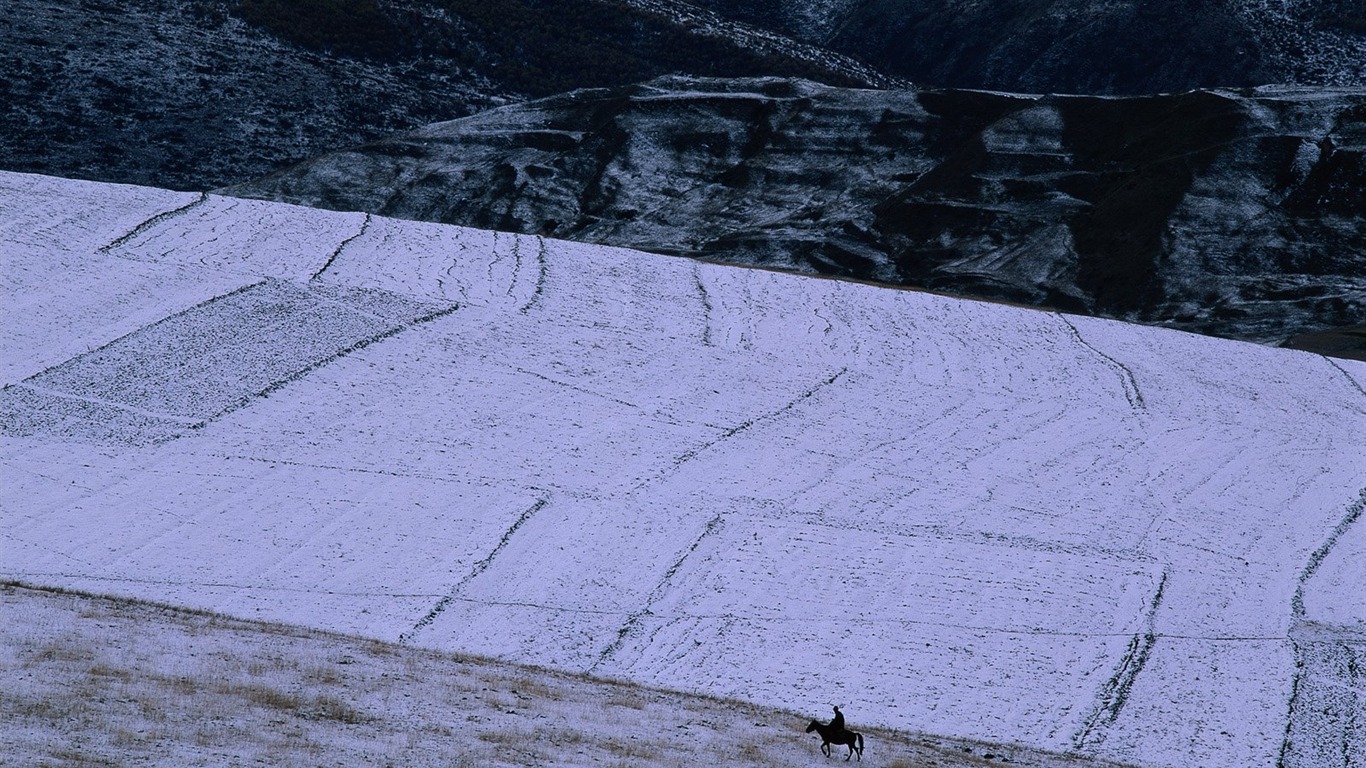 Winter Snow Wallpaper #32 - 1366x768