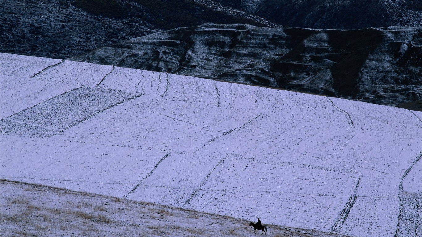 冬天雪景壁紙 #32 - 1366x768
