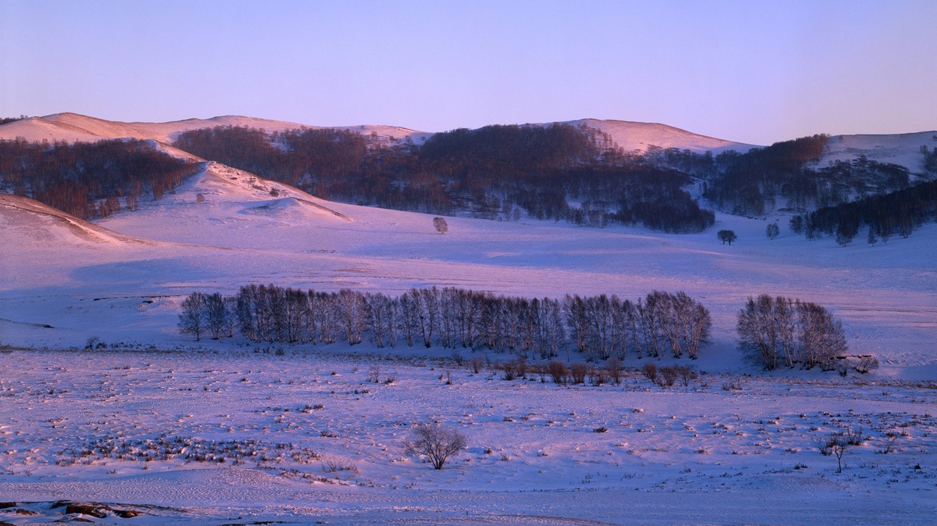 冬天雪景壁紙 #34 - 1366x768