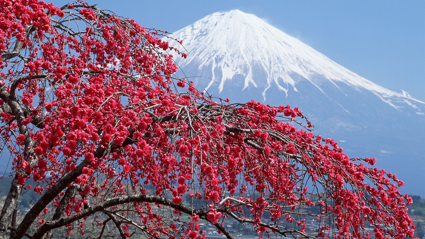 日本富士山 壁纸(一)1 - 1366x768