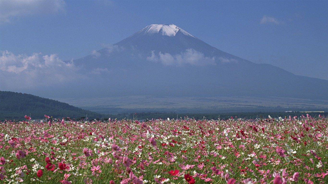 Monte Fuji, fondos de escritorio de Japón (1) #20 - 1366x768