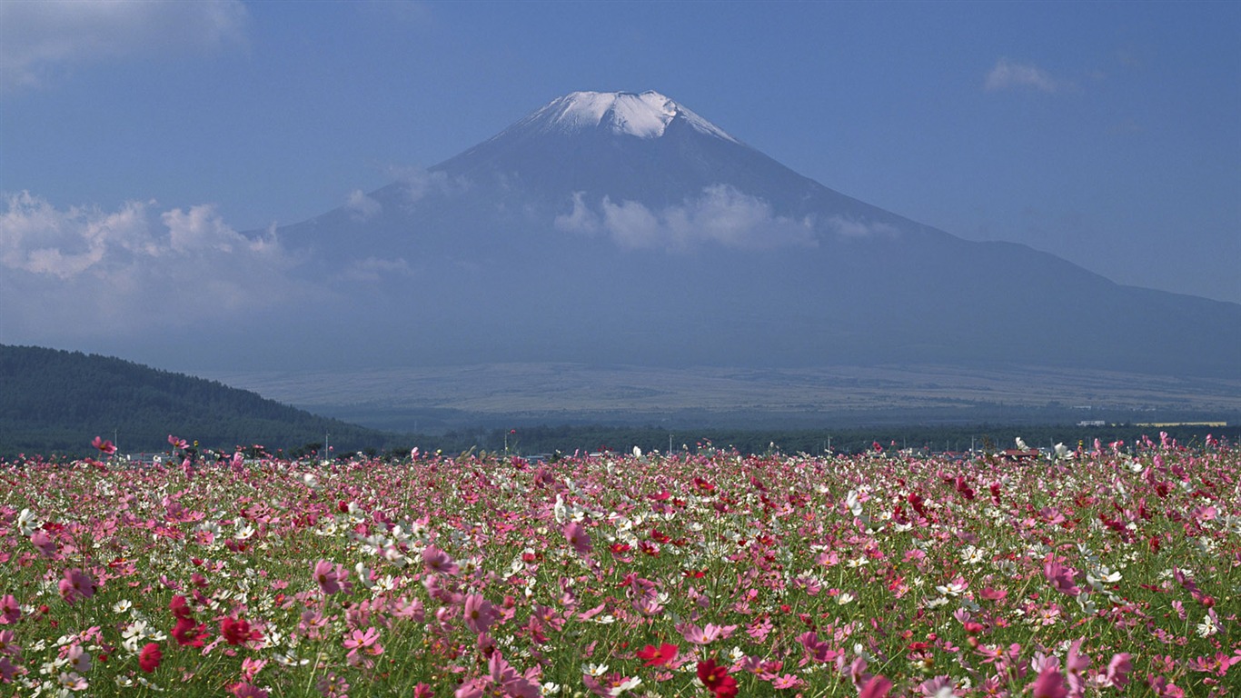 日本富士山 壁紙(一) #20 - 1366x768