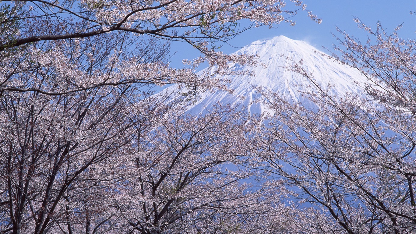 日本富士山 壁纸(二)9 - 1366x768