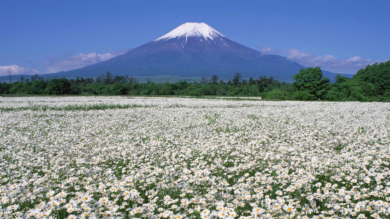 Mount Fuji, Japonsko tapety (2) #15 - 1366x768