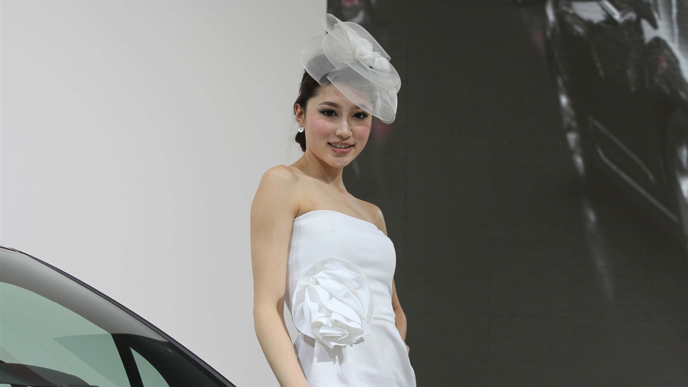 2010 Beijing International Auto Show beauty (2) (the wind chasing the clouds works) #31 - 1366x768