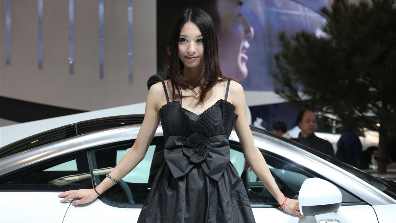 2010 Beijing International Auto Show beauty (2) (the wind chasing the clouds works) #38 - 1366x768