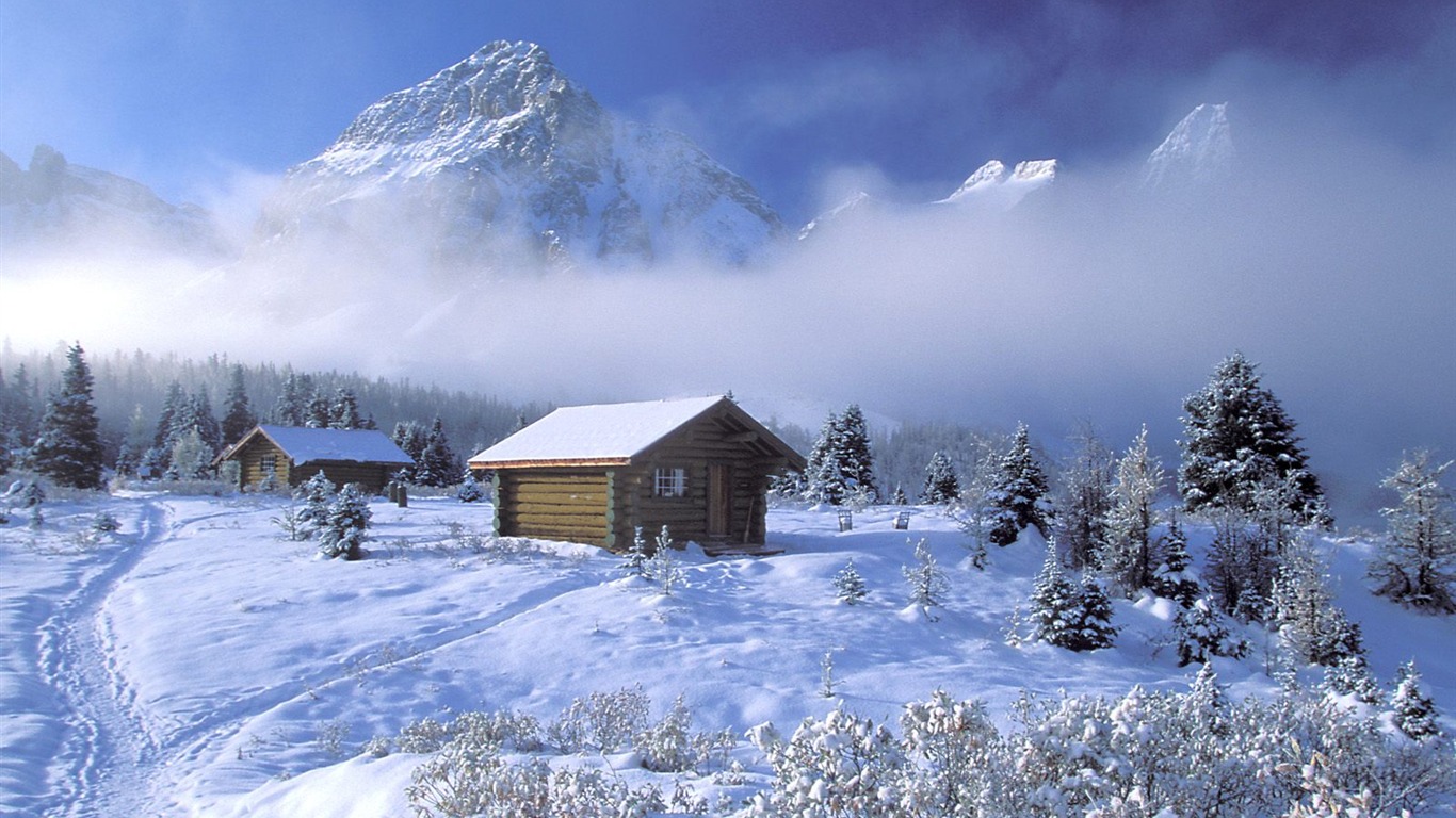 冬天雪景壁紙(二) #2 - 1366x768