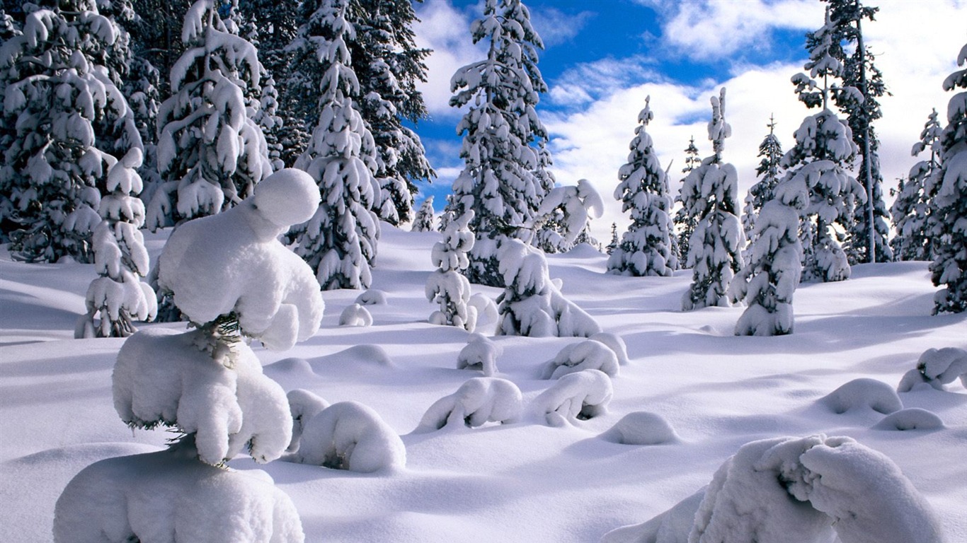 Invierno Nieve fondo de pantalla (2) #3 - 1366x768