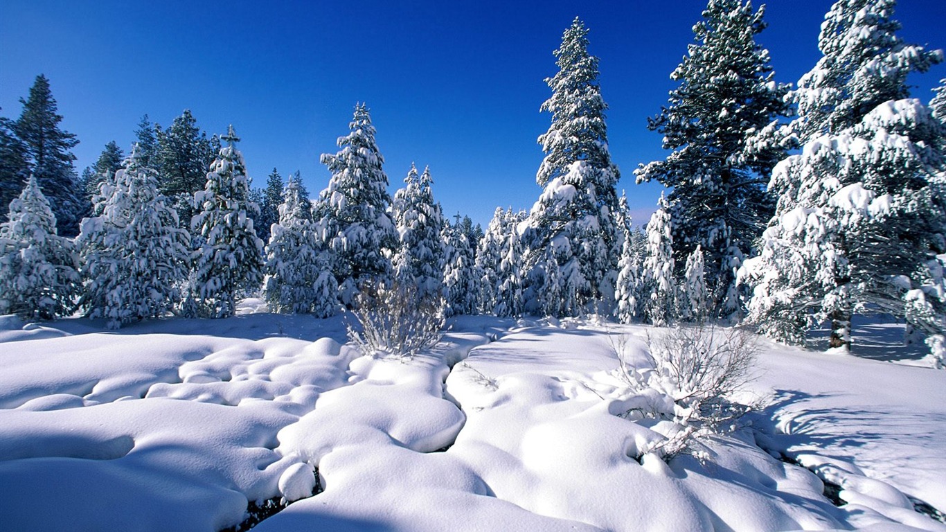 Zimní sníh tapety (2) #4 - 1366x768