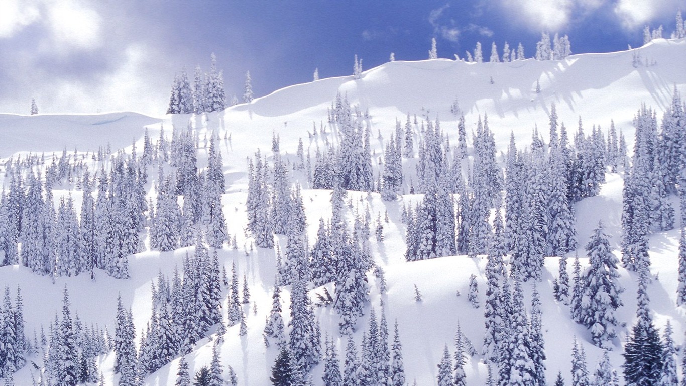 Winter Snow wallpaper (2) #5 - 1366x768