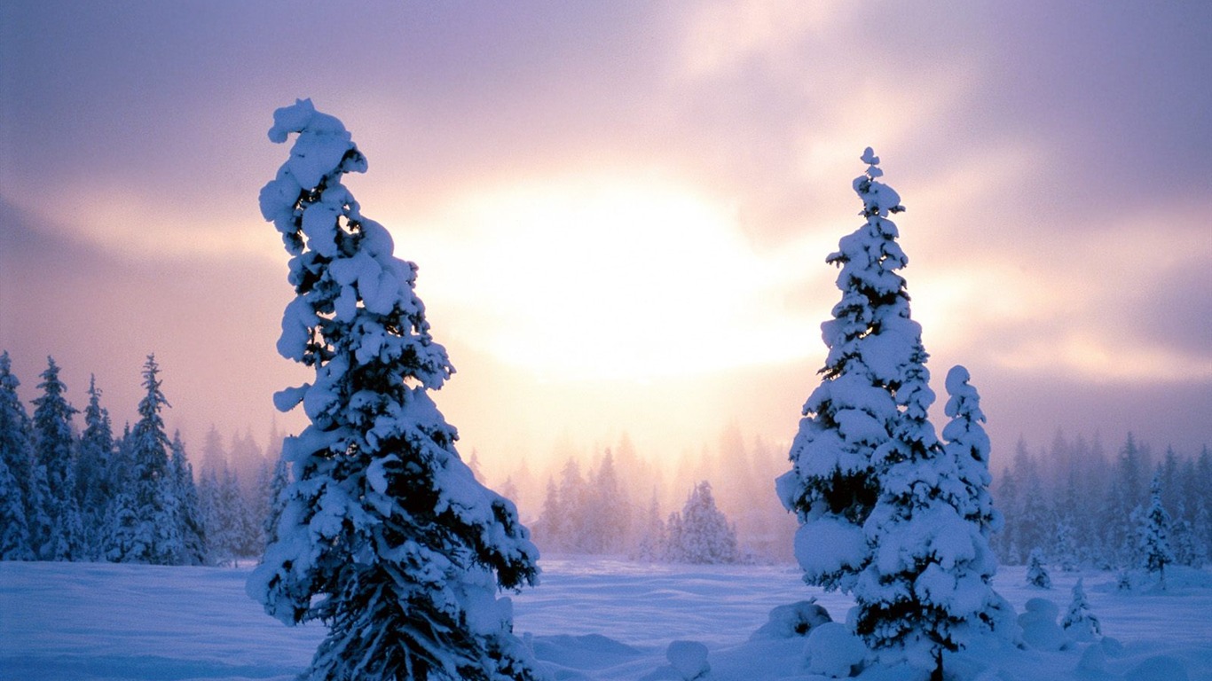 Winter Snow wallpaper (2) #6 - 1366x768