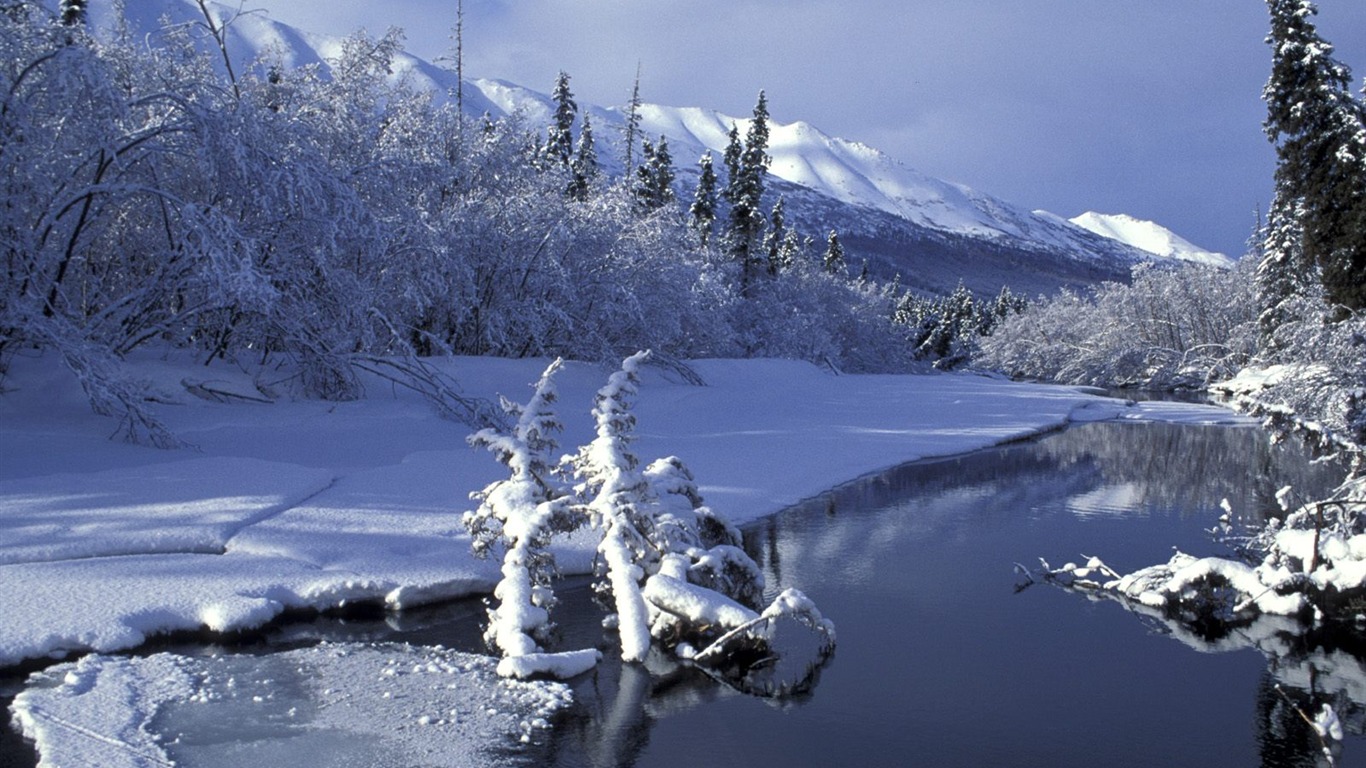 冬天雪景壁纸(二)7 - 1366x768