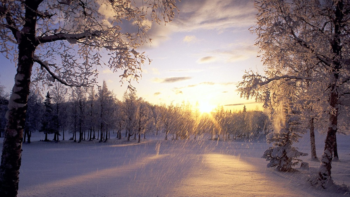 冬天雪景壁紙(二) #8 - 1366x768