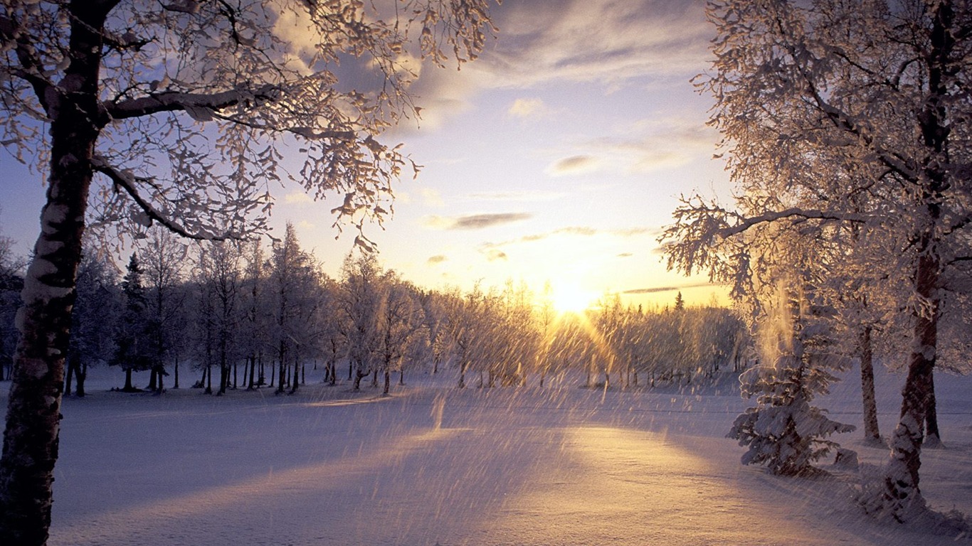 Winter Snow wallpaper (2) #8 - 1366x768