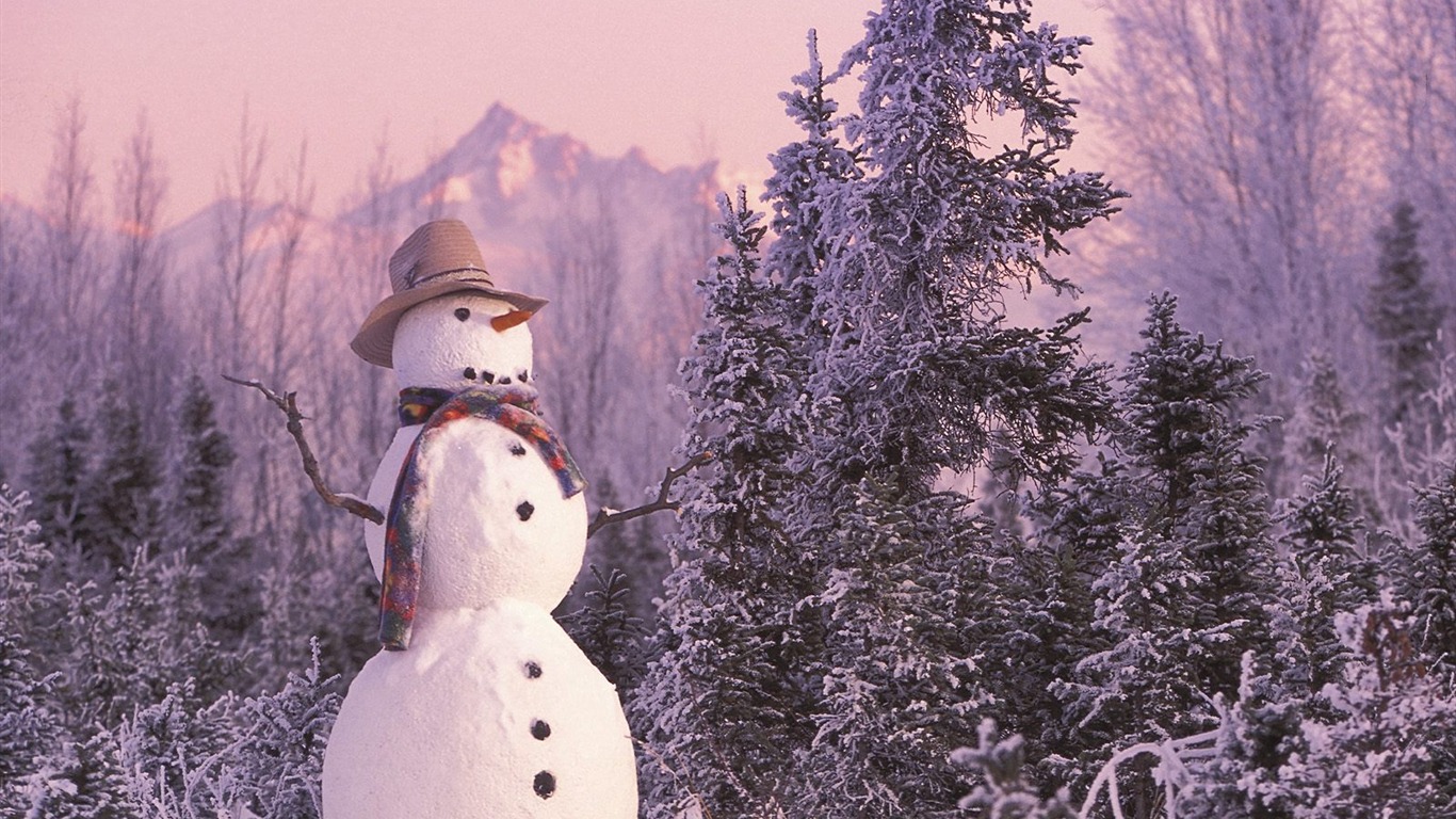 冬天雪景壁紙(二) #9 - 1366x768