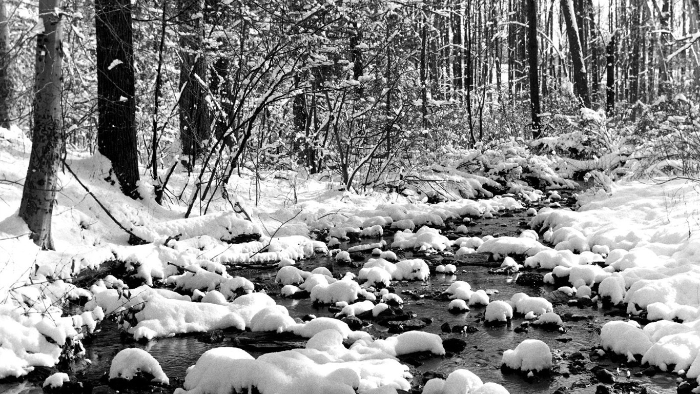 Winter Snow wallpaper (2) #11 - 1366x768