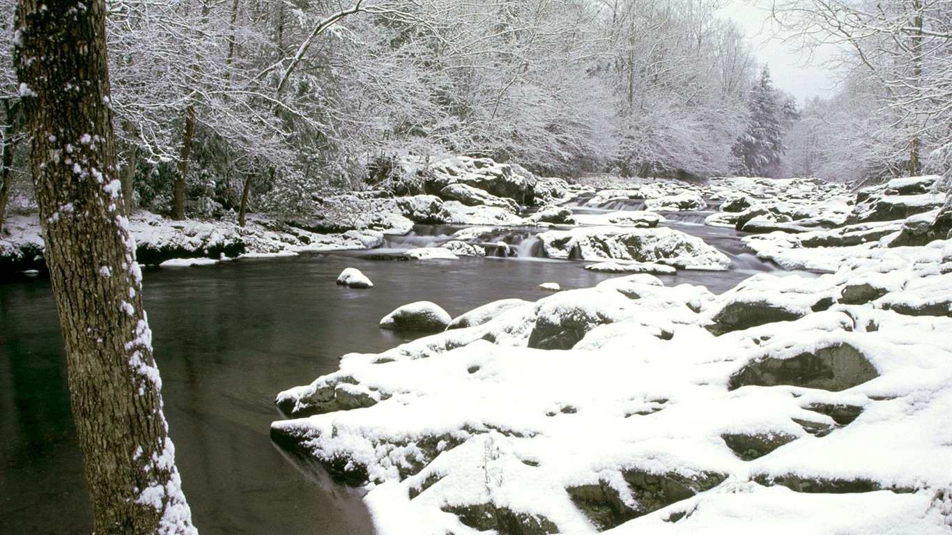 冬の雪の壁紙 (2) #14 - 1366x768