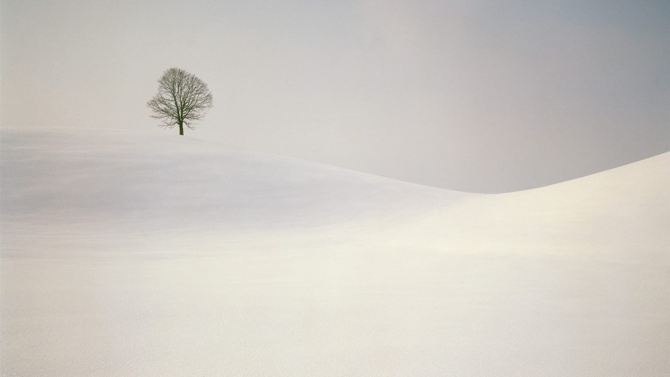 冬天雪景壁紙(二) #17 - 1366x768