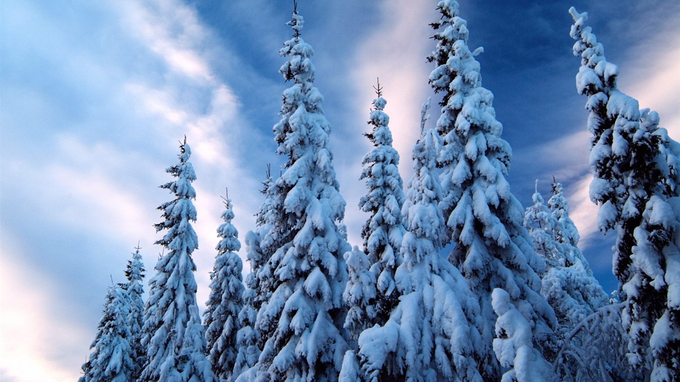 Winter Snow wallpaper (2) #19 - 1366x768