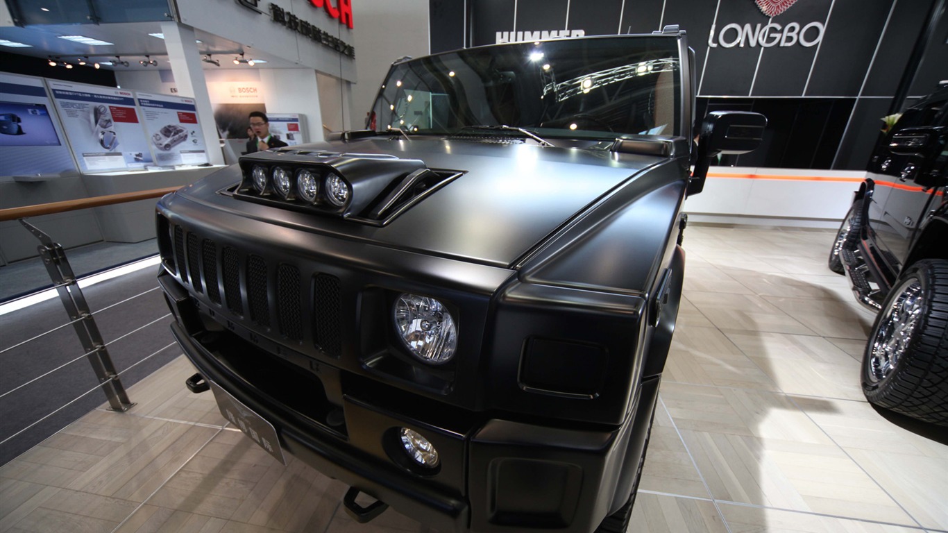 2010 Beijing Auto Show (the wind chasing the clouds works) #28 - 1366x768