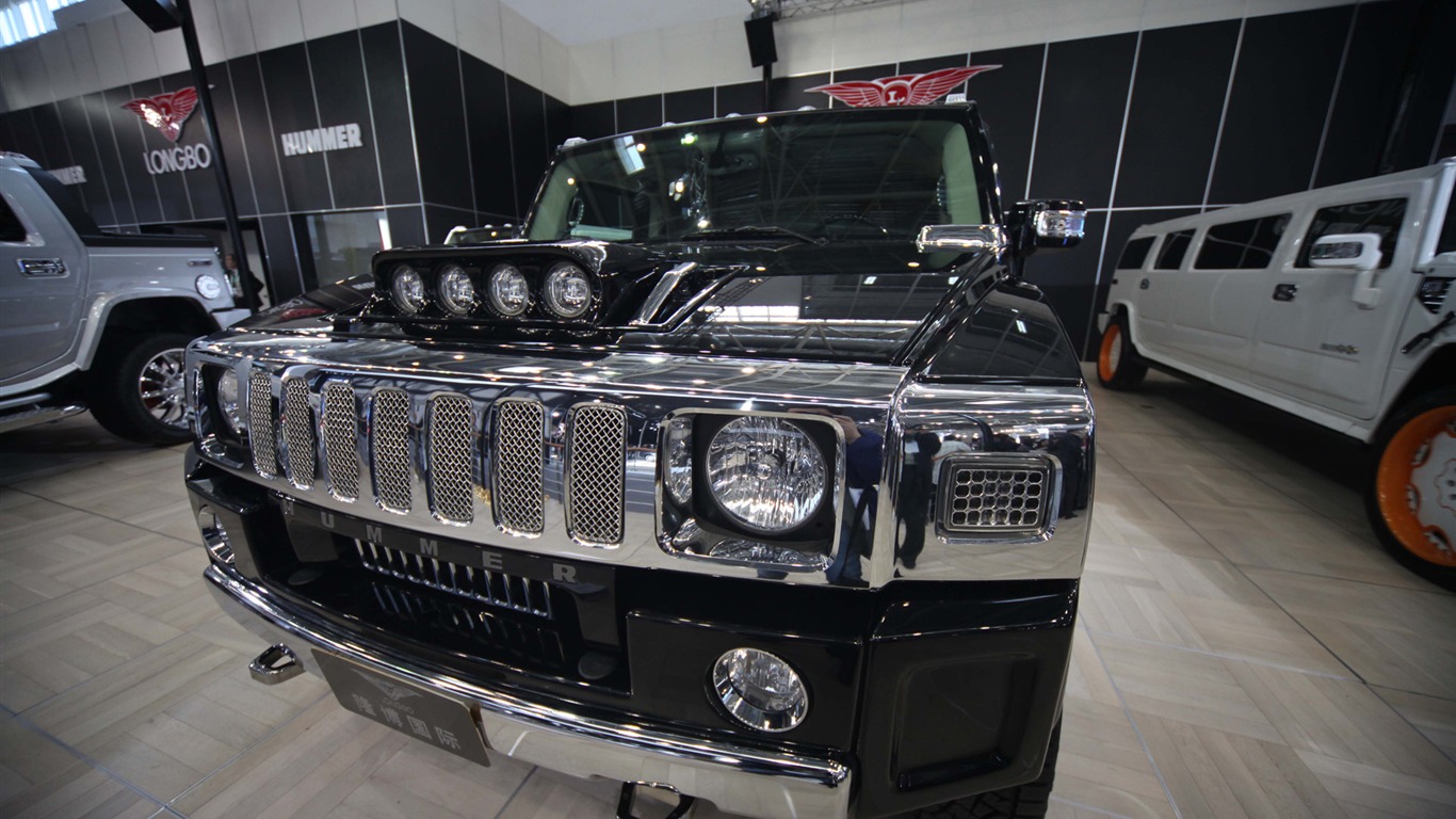 2010 Beijing Auto Show (the wind chasing the clouds works) #30 - 1366x768
