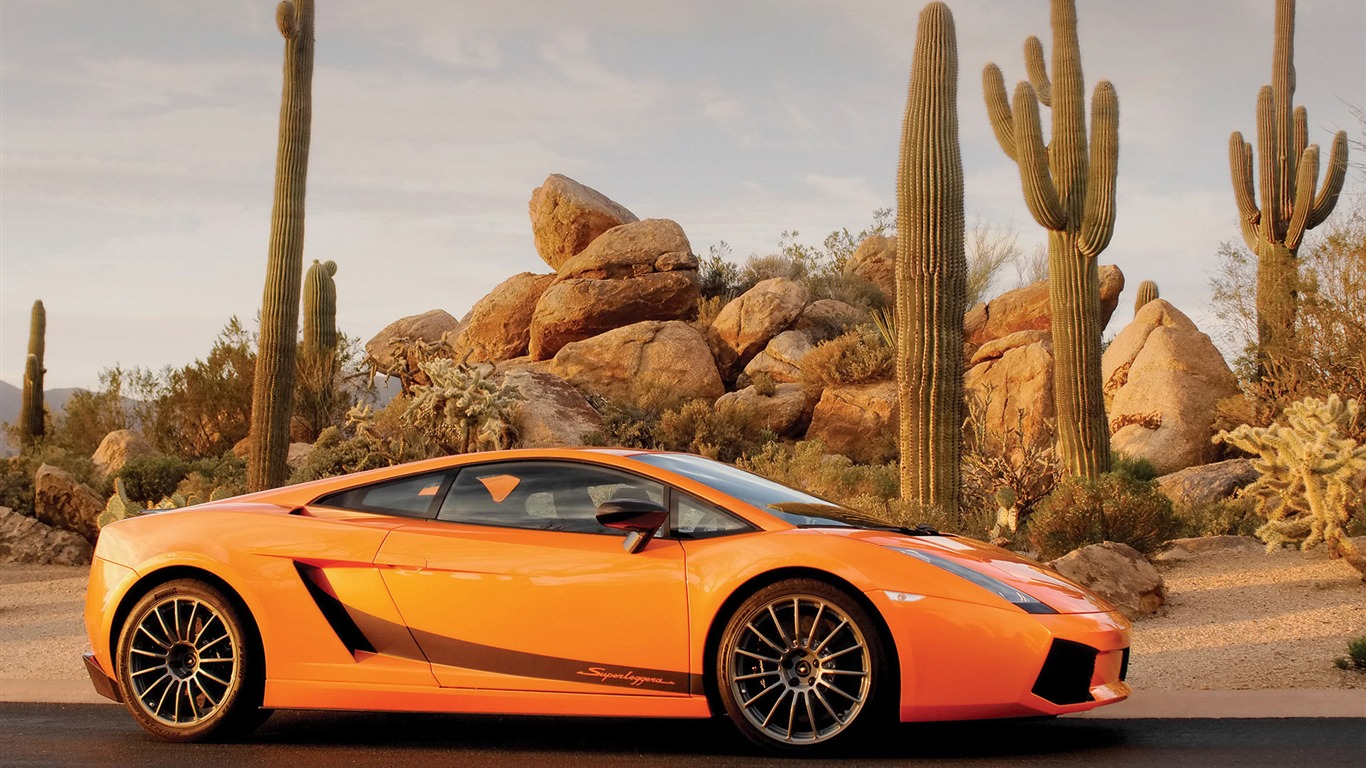 Cool auta Lamborghini Wallpaper (2) #10 - 1366x768