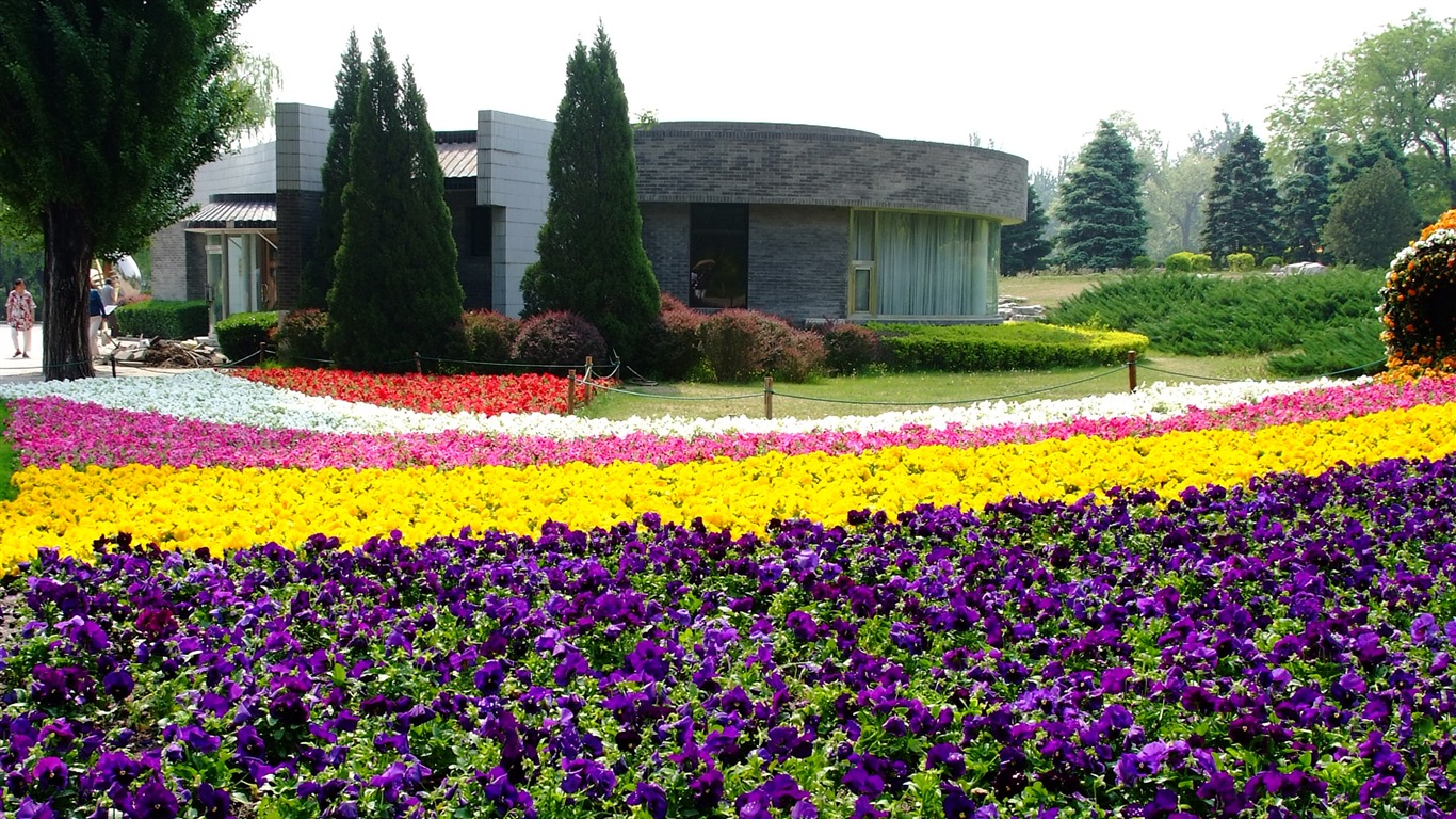 Xiangshan začátku letní zahrádka (prutu práce) #11 - 1366x768