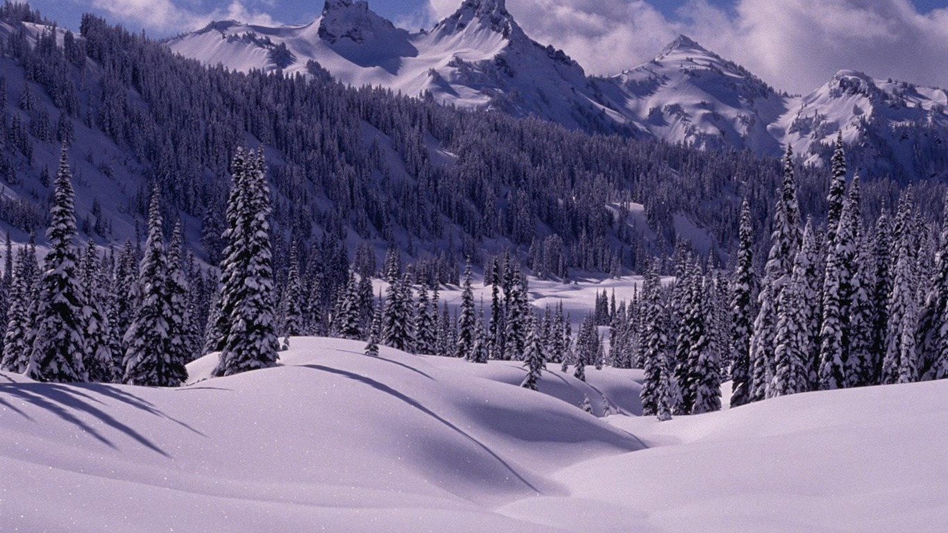 Invierno Nieve fondo de pantalla (3) #5 - 1366x768