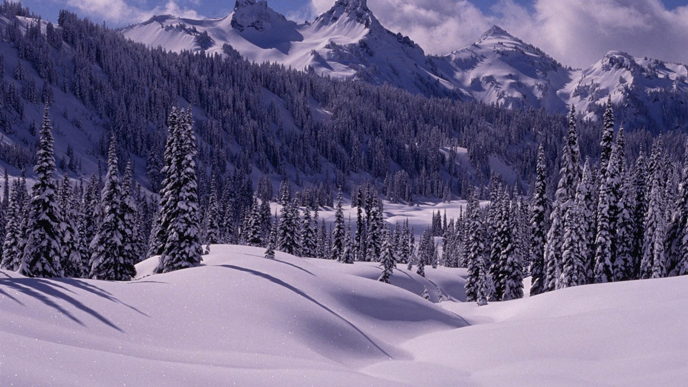 Zimní sníh tapety (3) #5 - 1366x768