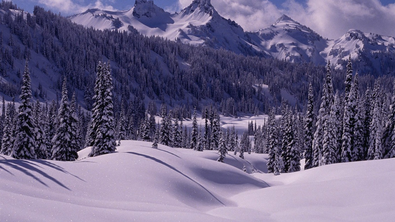 Winter Snow wallpaper (3) #5 - 1366x768