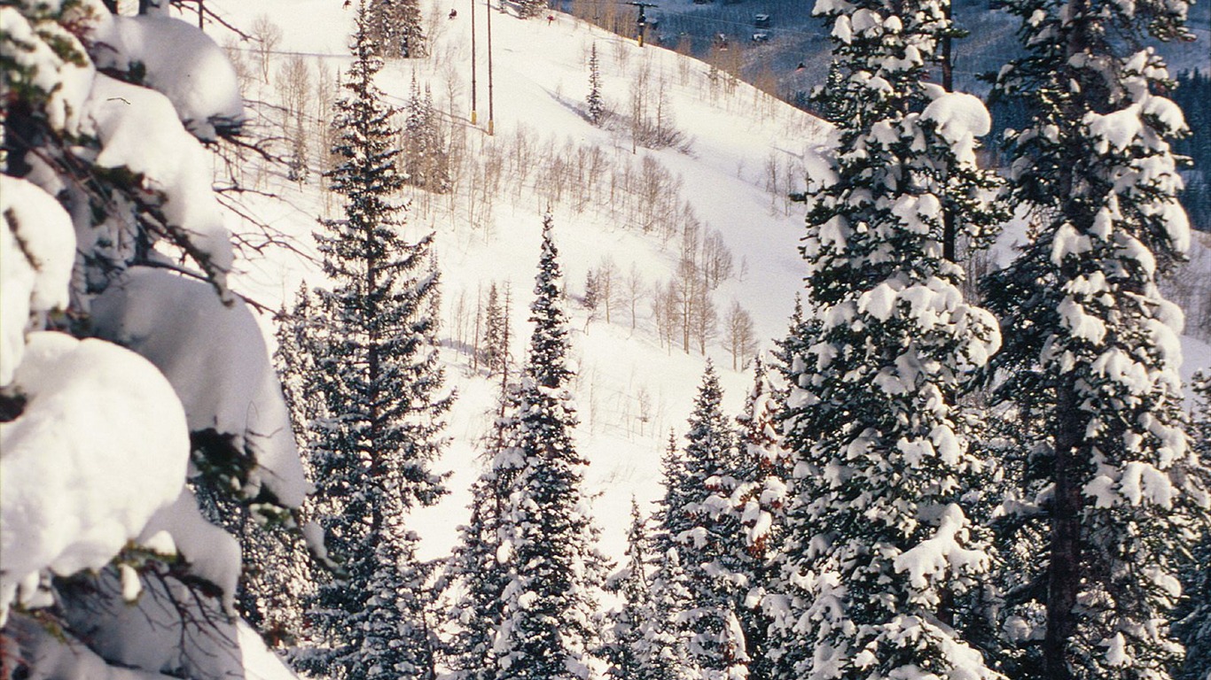 冬天雪景壁紙(三) #6 - 1366x768