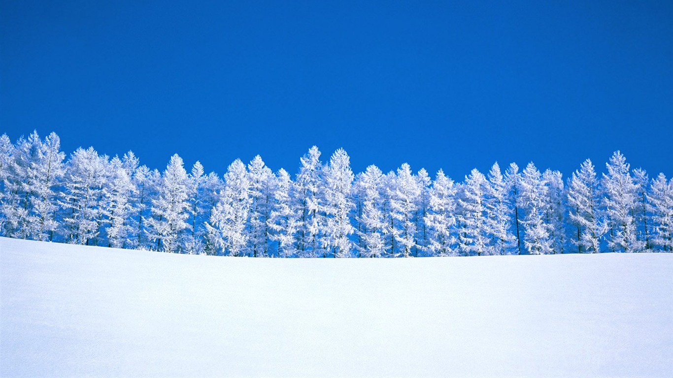 Winter Snow wallpaper (3) #8 - 1366x768