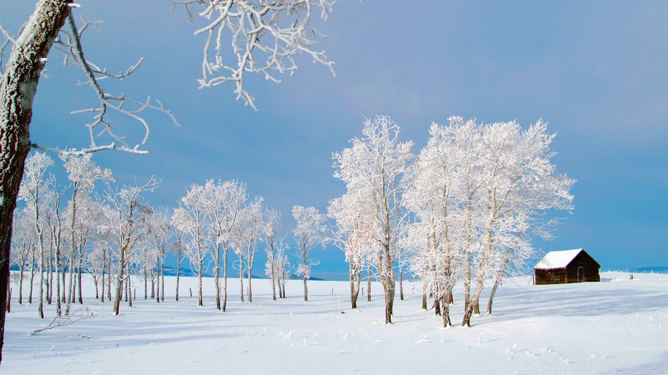 冬天雪景壁紙(三) #10 - 1366x768